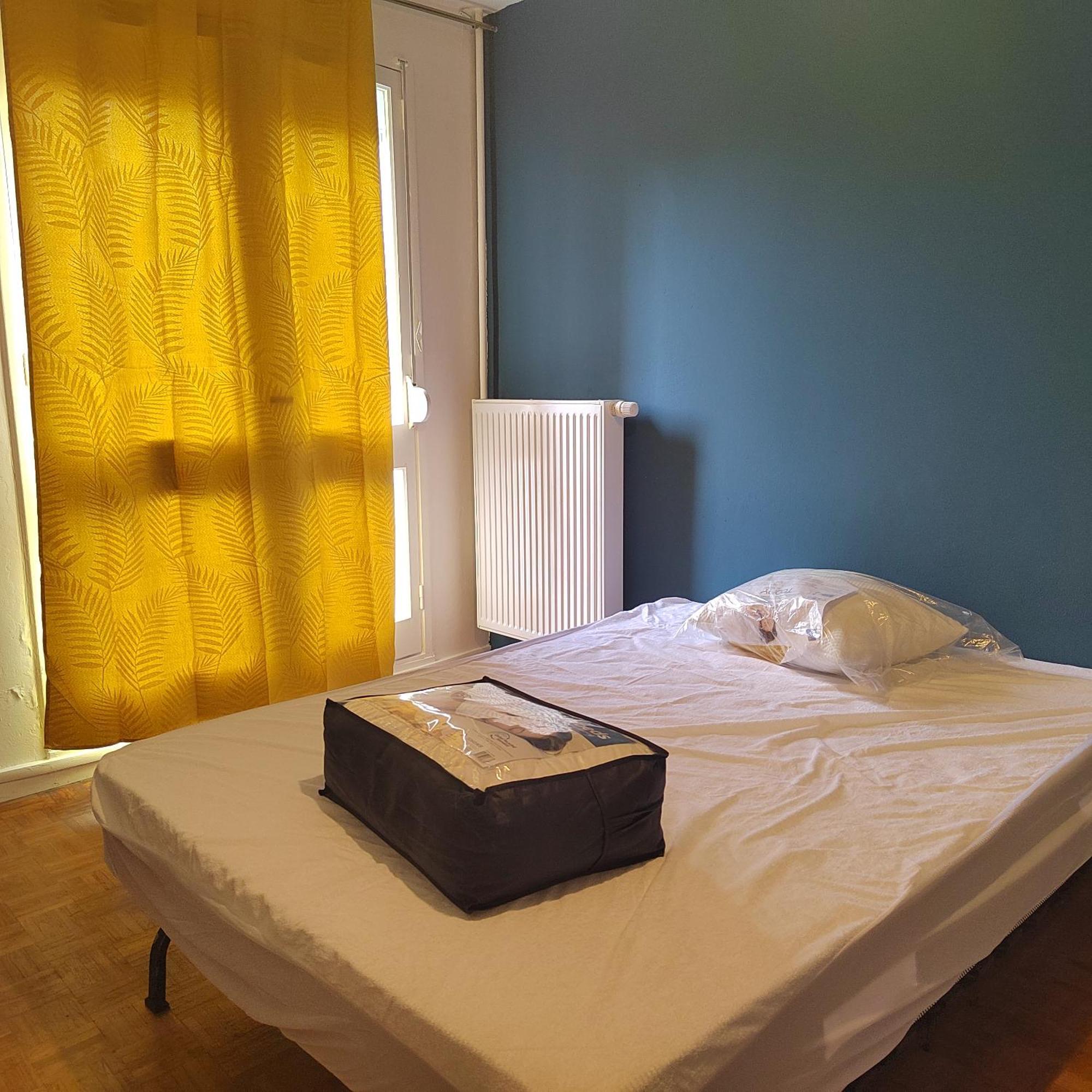 Chambre Dans Un Appartement En Colocation Rennes Extérieur photo